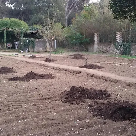 Del Cerc * Vallromanes
